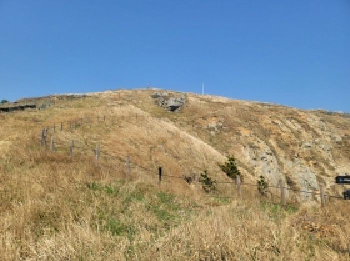 경상남도 통영시 한산면 매죽리 산56-1 임야 경매 사진 20