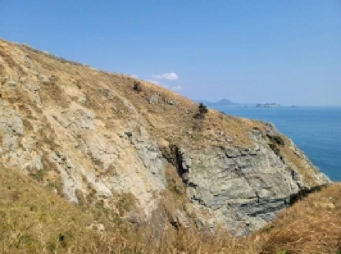 경상남도 통영시 한산면 매죽리 산56-1 임야 경매 사진 21