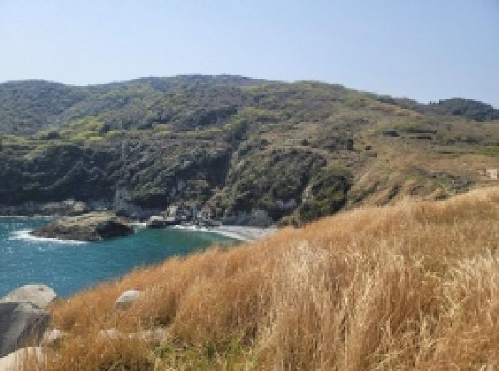경상남도 통영시 한산면 매죽리 산56-1 임야 경매 사진 25