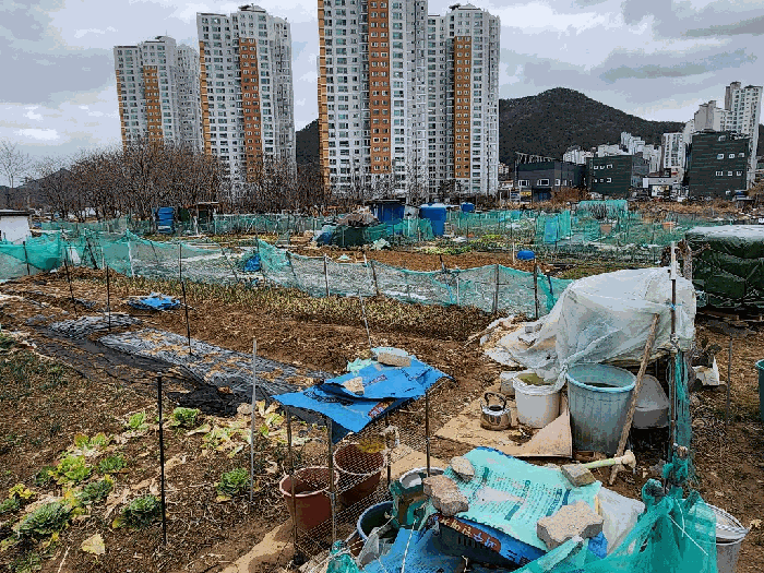 경상남도 거제시 고현동 1084-5 전답 경매 사진 6