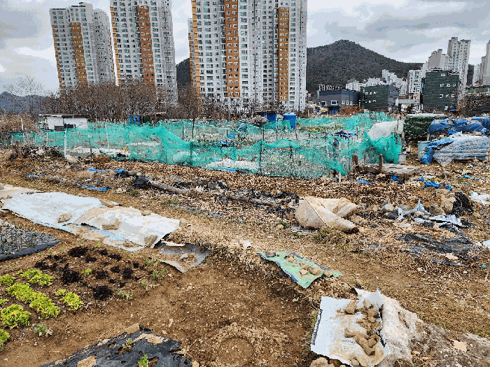 경상남도 거제시 고현동 1084-5 전답 경매 사진 8