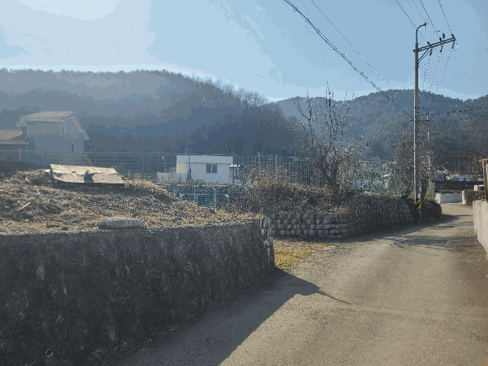 경상남도 거제시 장목면 율천리 518 답 경매 사진 11