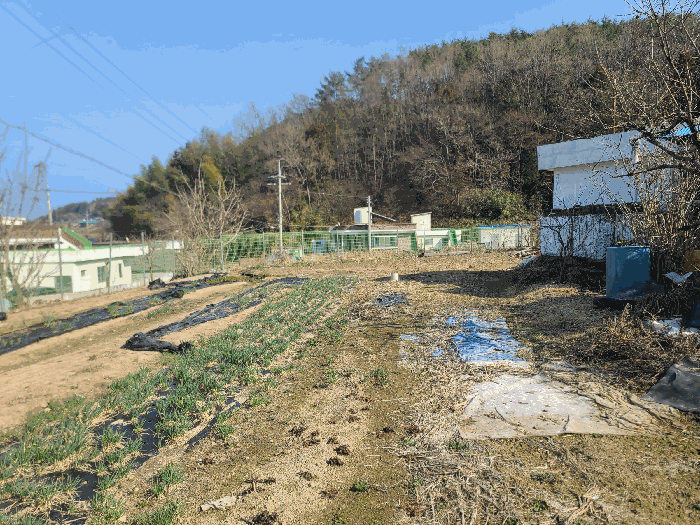 경상남도 거제시 장목면 율천리 518 답 경매 사진 12