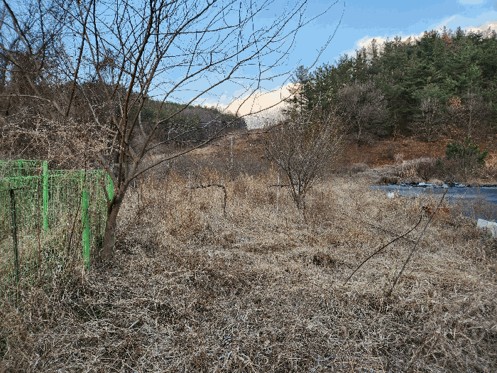 경상남도 창녕군 장마면 동정리 628-5 전 경매 사진 21