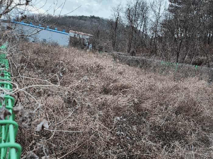 경상남도 창녕군 장마면 동정리 628-5 전 경매 사진 22