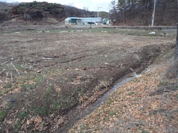경상남도 창녕군 유어면 광산리 386-1 답 경매 사진 13