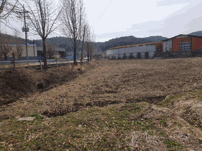 경상남도 창녕군 유어면 광산리 386-1 답 경매 사진 16