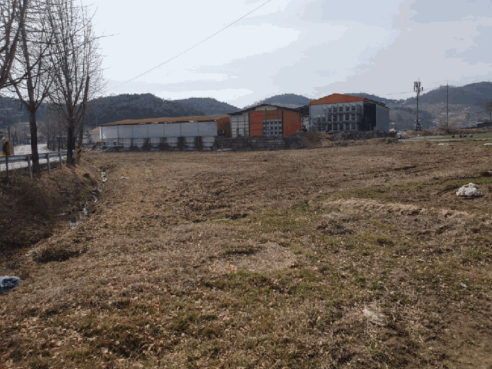 경상남도 창녕군 유어면 광산리 386-1 답 경매 사진 17