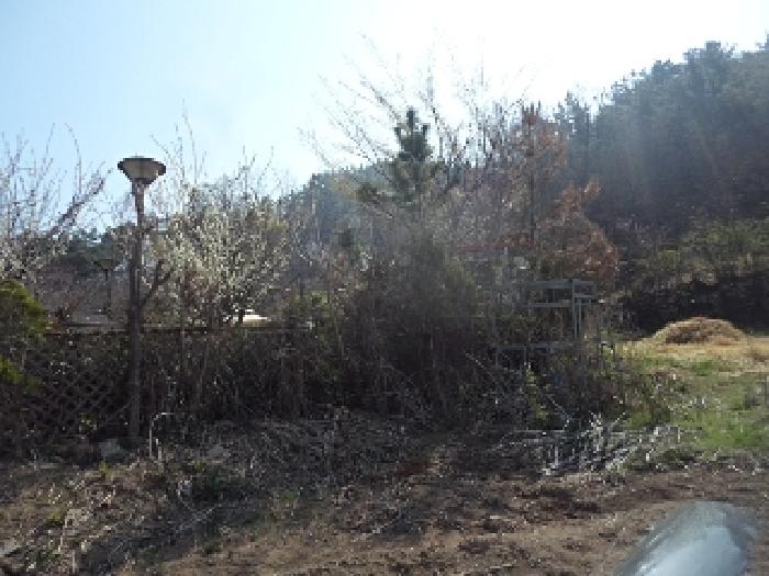 경상남도 창녕군 남지읍 학계리 10-7 전 경매 사진 25