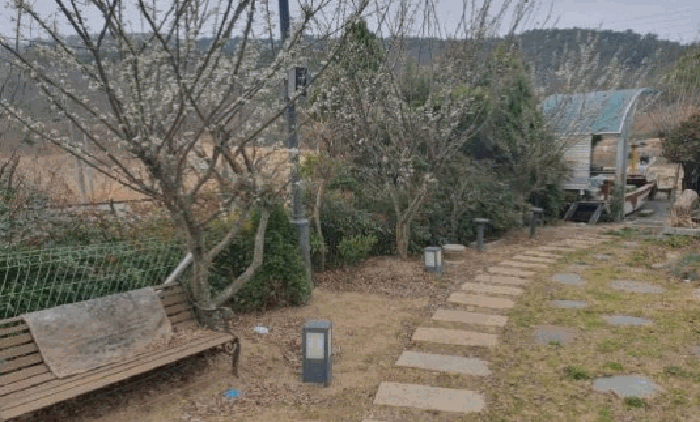 경상남도 창녕군 남지읍 학계리 10-7 전 경매 사진 37