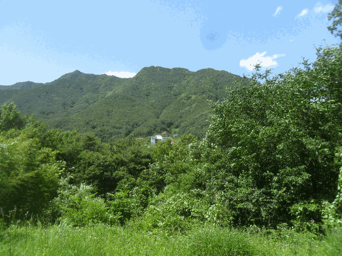 경상남도 창녕군 계성면 사리 866 외 2필지 답 경매 사진 7