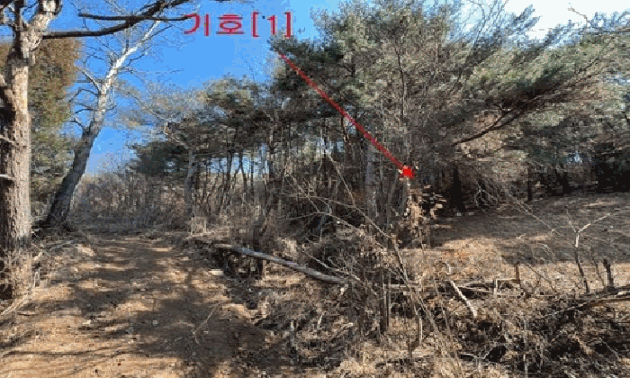 경상남도 창녕군 이방면 상리 산30 임야 경매 사진 4