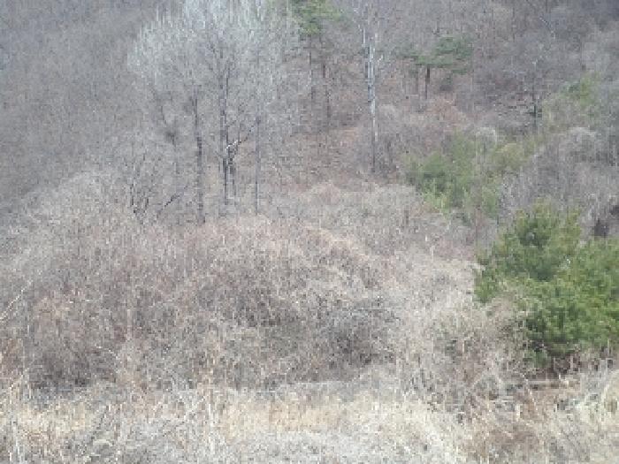경상남도 밀양시 단장면 국전리 320 답 경매 사진 3