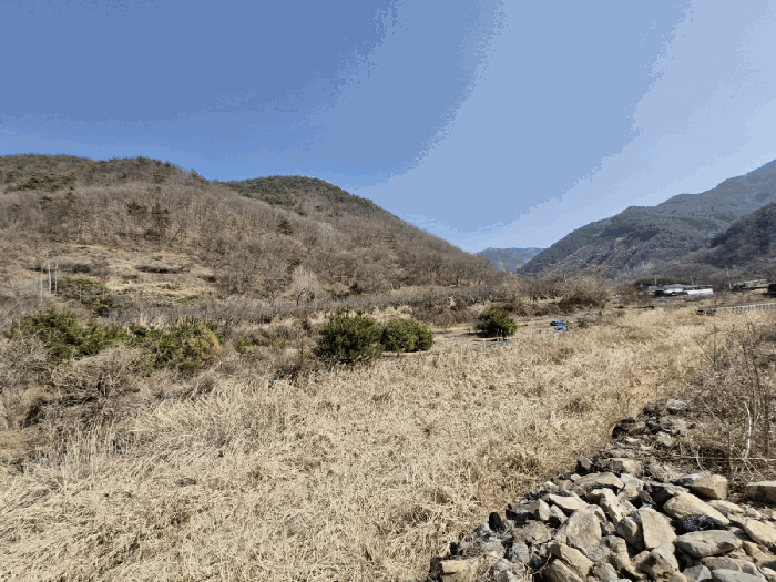 경상남도 밀양시 단장면 국전리 320 답 경매 사진 4