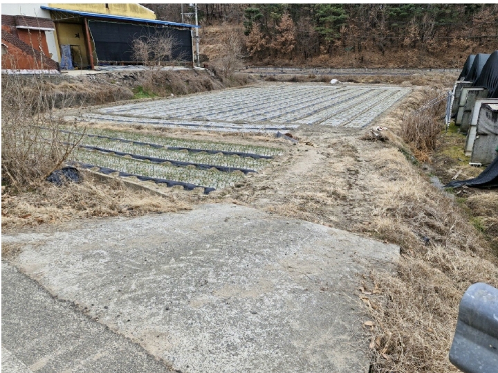 경상남도 창녕군 대지면 효정리 1517 다세대(빌라) 경매 사진 9