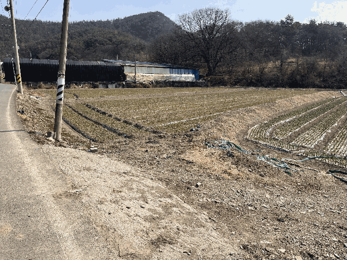 경상남도 창녕군 이방면 거남리 682-1 외 1필지 답 경매 사진 10