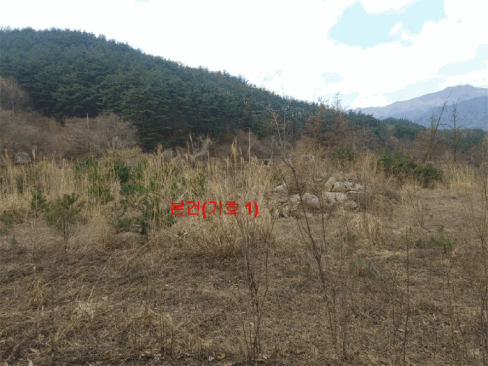 경상남도 거창군 북상면 월성리 535-11 외 1필지 임야 경매 사진 3