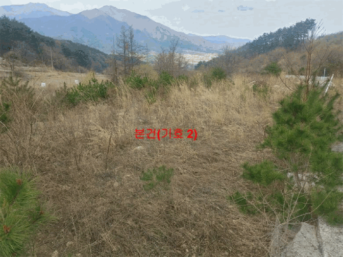 경상남도 거창군 북상면 월성리 535-11 외 1필지 임야 경매 사진 6