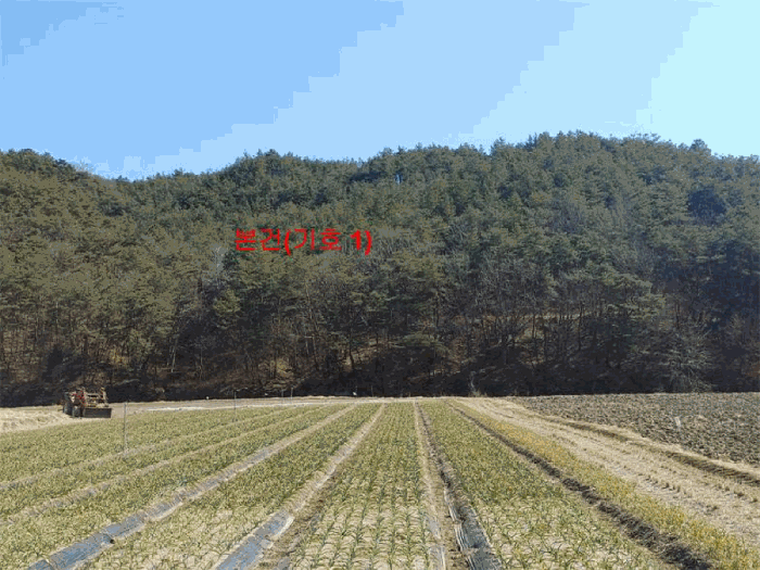 경상남도 합천군 합천읍 용계리 산95 임야 경매 사진 11