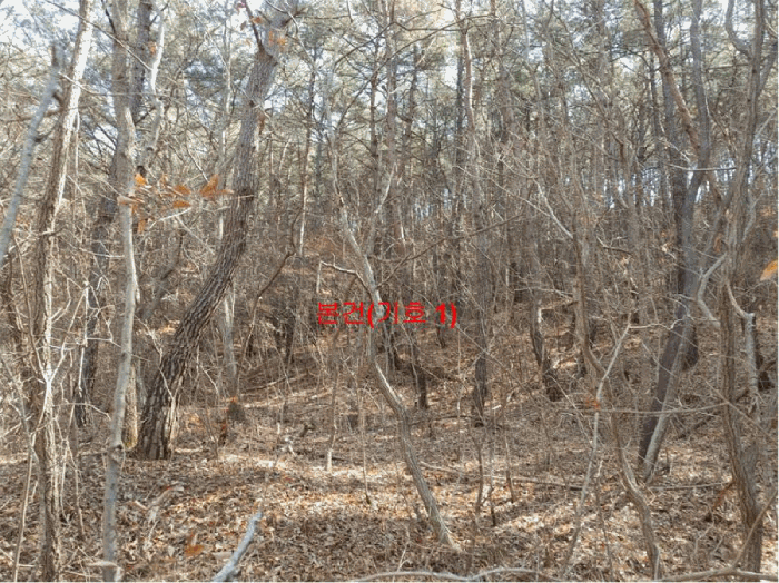 경상남도 합천군 합천읍 용계리 산95 임야 경매 사진 12