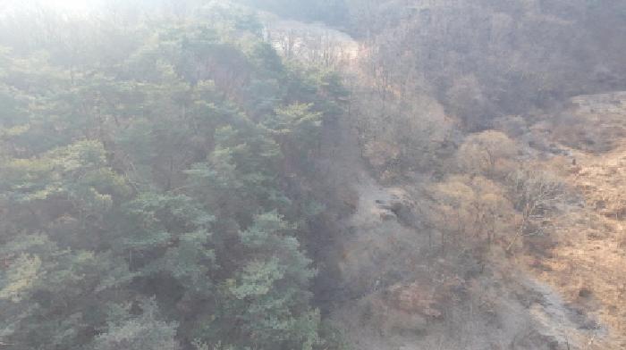 경상남도 합천군 야로면 나대리 107 외 2필지 답 경매 사진 2
