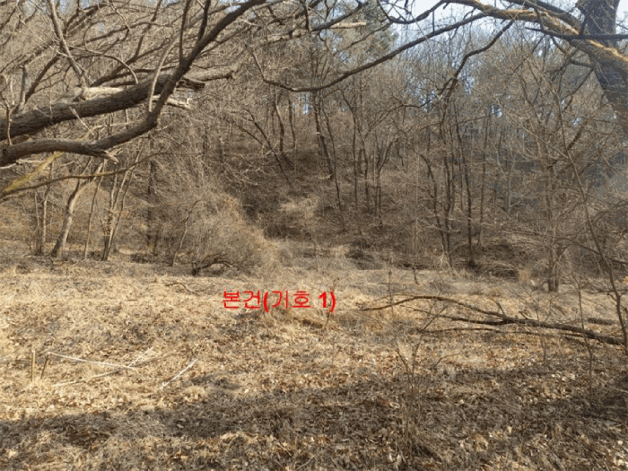 경상남도 합천군 야로면 나대리 107 외 2필지 답 경매 사진 5