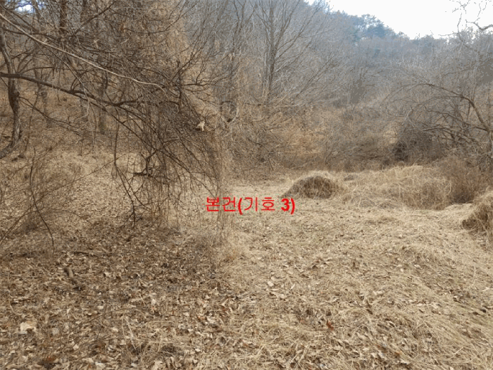 경상남도 합천군 야로면 나대리 107 외 2필지 답 경매 사진 8