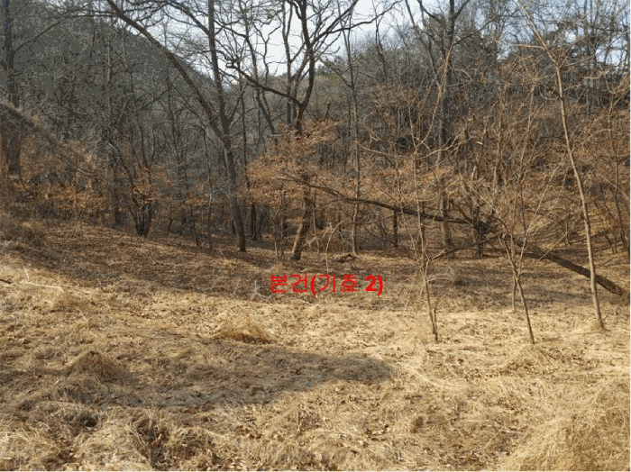 경상남도 합천군 야로면 나대리 107 외 2필지 답 경매 사진 9