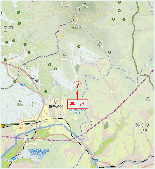 전라남도 화순군 화순읍 유천리 산20-5 임야 경매 사진 5