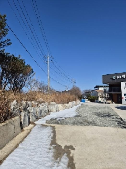 전라남도 영광군 법성면 대덕리 194-1 임야 경매 사진 21