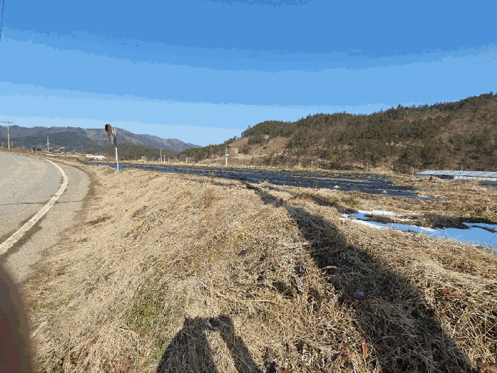 전라남도 화순군 청풍면 대비리 36 전 경매 사진 11