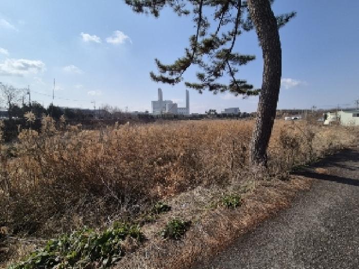 전라남도 나주시 산포면 신도리 756-95 잡종지 경매 사진 25