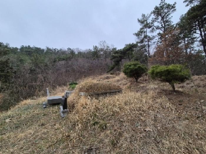 전라남도 나주시 삼영동 산42 임야 경매 사진 14