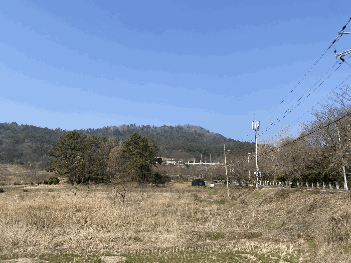 전라남도 나주시 삼영동 산42 임야 경매 사진 18