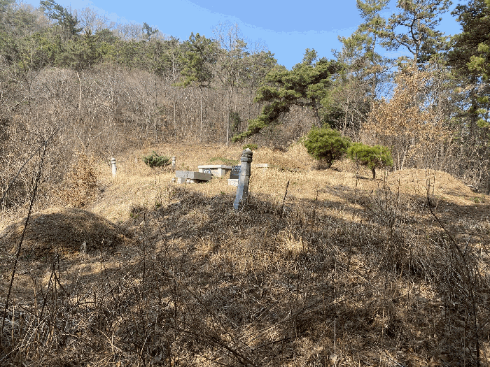 전라남도 나주시 삼영동 산42 임야 경매 사진 19