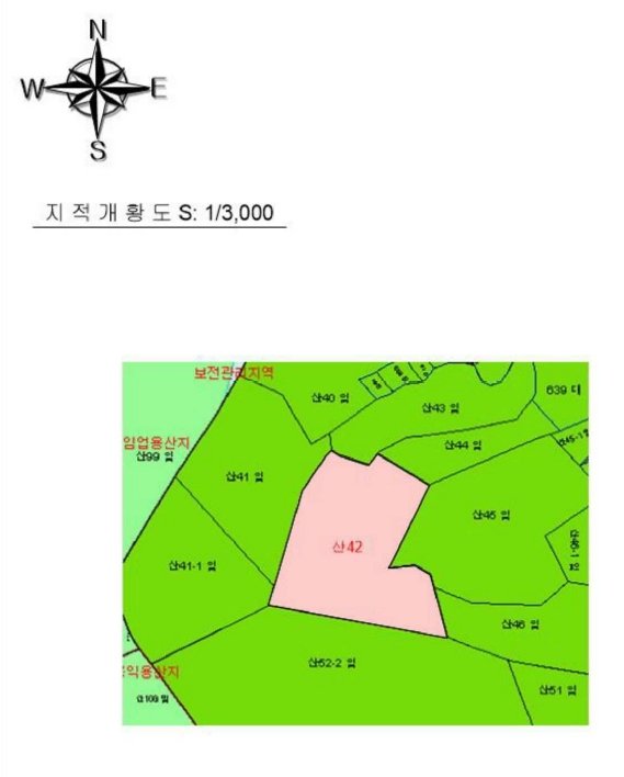 전라남도 나주시 삼영동 산42 임야 경매 사진 21