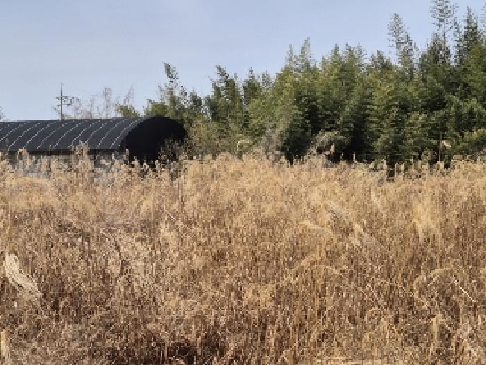전라남도 담양군 무정면 성도리 434-3 외 6필지 공장용지 경매 사진 6
