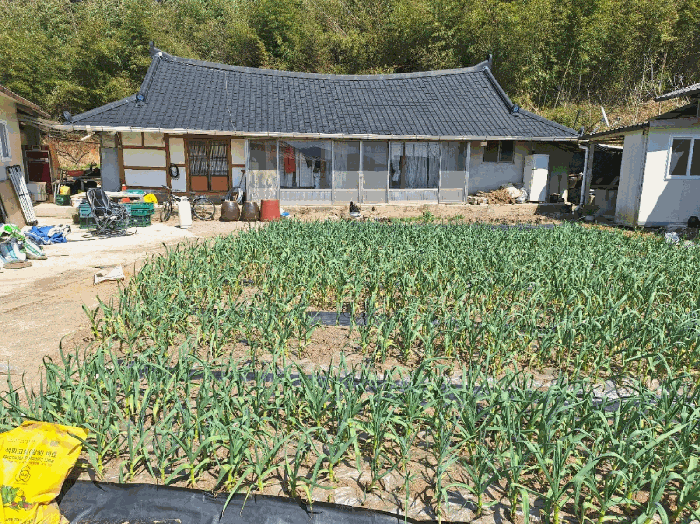 광주광역시 광산구 동호동 612 주택 경매 사진 29