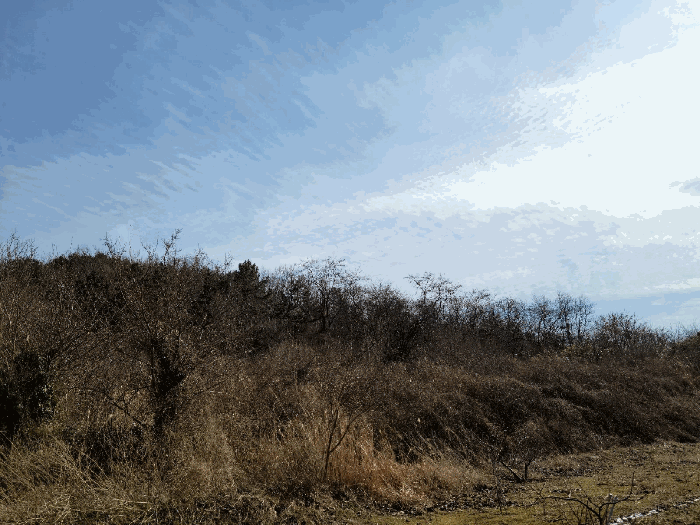 전라남도 영광군 백수읍 지산리 235 전 경매 사진 11