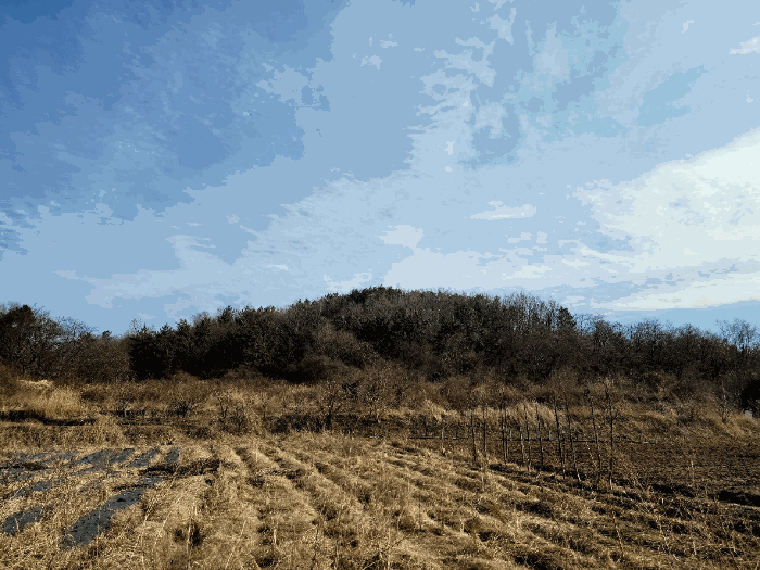 전라남도 영광군 백수읍 지산리 235 전 경매 사진 14