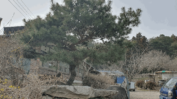 전라남도 장성군 삼서면 수양리 475 외 4필지 단독주택 경매 사진 36