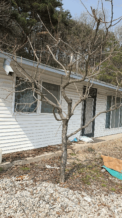전라남도 장성군 삼서면 수양리 475 외 4필지 단독주택 경매 사진 41
