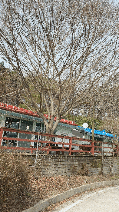 전라남도 장성군 삼서면 수양리 475 외 4필지 단독주택 경매 사진 43