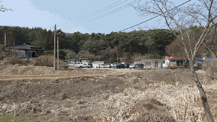 전라남도 장성군 삼서면 수양리 475 외 4필지 단독주택 경매 사진 48