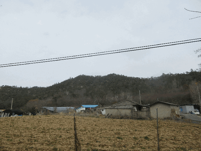 전라남도 나주시 공산면 남창리 산56 임야 경매 사진 5