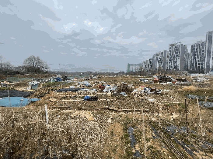 광주광역시 북구 신용동 477-5 답 경매 사진 9