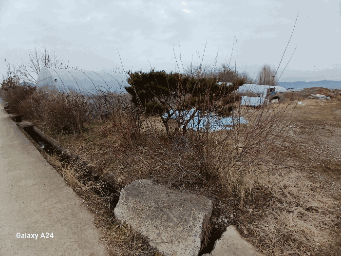 전라남도 화순군 도곡면 효산리 1328-2 외 1필지 답 경매 사진 13