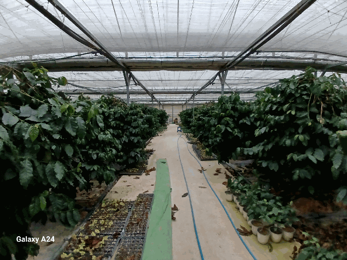 전라남도 화순군 도곡면 효산리 1328-2 외 1필지 답 경매 사진 15