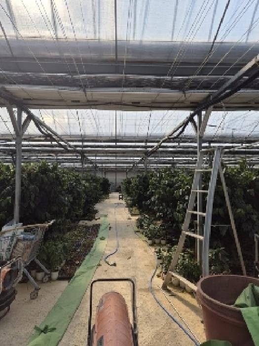 전라남도 화순군 도곡면 효산리 1328-2 외 1필지 답 경매 사진 7