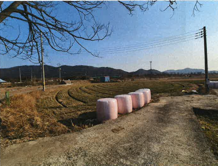 광주광역시 광산구 남산동 417 전 경매 사진 8